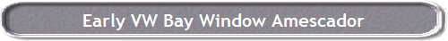 Early VW Bay Window Amescador